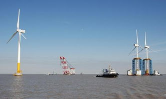 我國(guó)首座大型海上風(fēng)電場(chǎng)完成全部風(fēng)機(jī)安裝，譜寫綠色能源新篇章