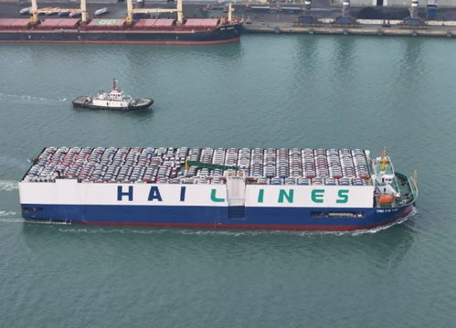 山東陸路國際貨運代理業(yè)務發(fā)展趨勢與挑戰(zhàn)