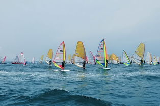 海上揚帆，陸路通達 國際貨運代理業務的雙重變奏